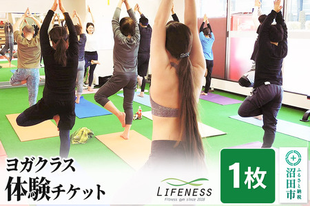 ヨガ クラス体験チケット 1枚 フィットネスジムLIFENESS