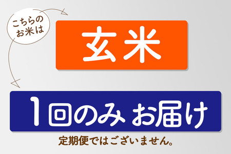 【玄米】令和7年産 真田のコシヒカリ小松姫 5kg×1袋 金井農園