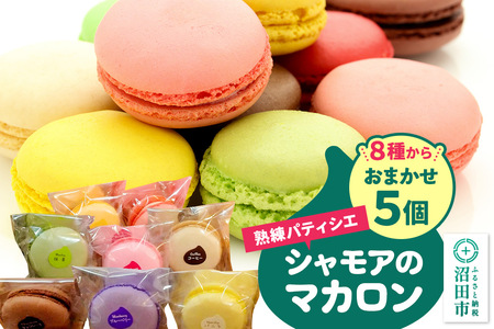 シャモアのマカロン おまかせ 5個入 詰め合わせセット(オレンジ・コーヒー・ラズベリー・抹茶・バニラ等8種の中から5種)