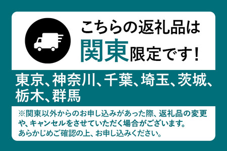《2026年1月上旬～3月下旬発送》関東限定配送 イチゴ よつぼし 約260gパック×4