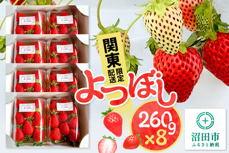 《2026年1月上旬～3月下旬発送》関東限定配送 イチゴ よつぼし 約260gパック×8