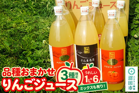 《3種確定》果樹園マンサーナ りんごジュース おまかせ1L×6本セット