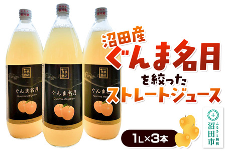 沼田産ぐんま名月だけを搾ったストレートリンゴジュース 3本セット 真田りんご園