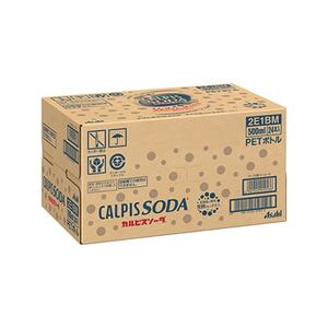 【2ヵ月毎定期便】『カルピスソーダ』PET500ml　24本　隔月全6回【4011135】