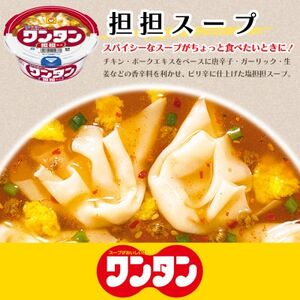 ワンタン　坦坦スープ　12食_惣菜・加工品 スープ  _【1579860】