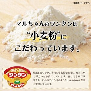 ワンタン　坦坦スープ　12食_惣菜・加工品 スープ  _【1579860】