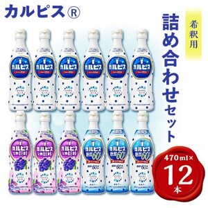 カルピス470ml×カルピス完熟巨峰470ml×カルピス糖質60%オフ470ml　12本セット【1336033】