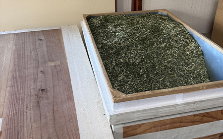 パパイヤ葉茶 （5g×10パック）5袋 F4H-0515