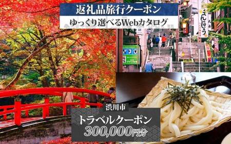 群馬県 渋川市 旅行クーポン 300,000円分 温泉 伊香保 小野上 観光 旅行 ホテル 旅館 老舗 高級 トラベル チケット 家族 カップル 宿泊 予約 おすすめ 父の日 母の日 旅行券 宿泊券 F4H-0526