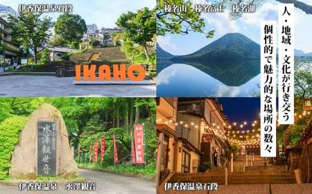 群馬県 渋川市 旅行クーポン 900,000円分 温泉 伊香保 小野上 観光 旅行 ホテル 旅館 老舗 高級 トラベル チケット 家族 カップル 宿泊 予約 おすすめ 父の日 母の日 旅行券 宿泊券 F4H-0527