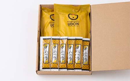 こんにゃく入りうどんギフト（麵つゆ付き） 250g×2袋 うどん 麺 麺類 加工品 食品 F4H-0543