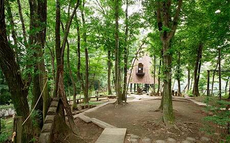 【和豚もちぶた】ウィンナ&ソーセージ詰合せセット F4H-0479