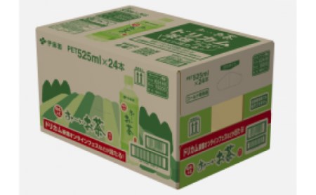 伊藤園 ペットボトル お~いお茶 緑茶 600ml×24本 PET 飲料 ソフトドリンク 備蓄 おちゃ F4H-0022