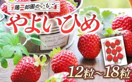 陽一郎園の大粒いちごS（シングル） いちご イチゴ 苺 フルーツ 果物 F4H-0030