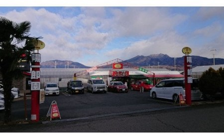 陽一郎園のおすすめいちごと淡雪のセット 約1kg イチゴ 苺 果物 くだもの フルーツ 食べ比べ 数量限定 F4H-0035