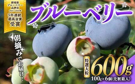 ブルーベリー特選大粒600g 朝摘みでお届け！【3年連続最高金賞受賞 群馬県ブルーベリー品評会2021・2022・2023年】化学農薬不使用 除草剤不使用 フルーツ 果物 F4H-0038