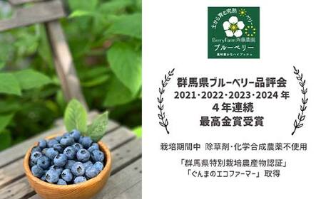 ブルーベリー大粒1kg 朝摘みでお届け！【4年連続最高金賞受賞 群馬県ブルーベリー品評会2021~2024年】 大粒 化学農薬不使用 除草剤不使用 フルーツ 果物 F4H-0039