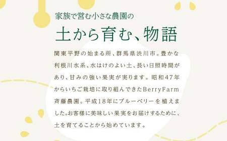 ブルーベリー大粒1kg 朝摘みでお届け！【4年連続最高金賞受賞 群馬県ブルーベリー品評会2021~2024年】 大粒 化学農薬不使用 除草剤不使用 フルーツ 果物 F4H-0039