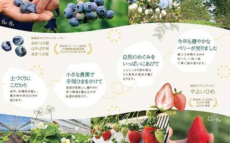 ブルーベリー大粒1kg 朝摘みでお届け！【4年連続最高金賞受賞 群馬県ブルーベリー品評会2021~2024年】 大粒 化学農薬不使用 除草剤不使用 フルーツ 果物 F4H-0039
