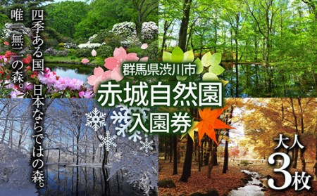 赤城自然園 入園券 チケット 入場券 自然観察園 F4H-0082