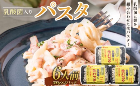 乳酸菌入りパスタ6人前 麺 パスタ フェットチーネ 平麺 生パスタ F4H-0198