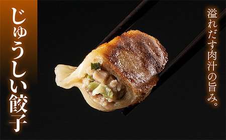 溢れだす肉汁!!じゅうしい餃子 80個 （20個×4袋）にんにく不使用 冷凍 焼餃子 水餃子 中華 ぎょうざ ギョーザ お弁当 おかず F4H-0207