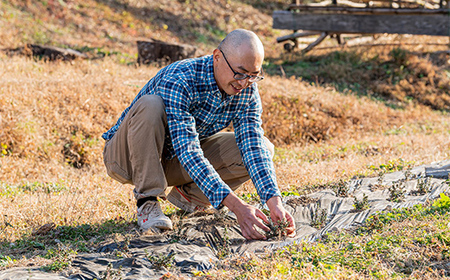 国産 赤城のハーブ 自然派 冬におすすめハーブティセット  F4H-0277