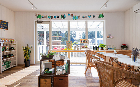 国産 赤城のハーブ 自然派 スッキリ　レモン＆爽快ブレンド ハーブティセット  F4H-0282