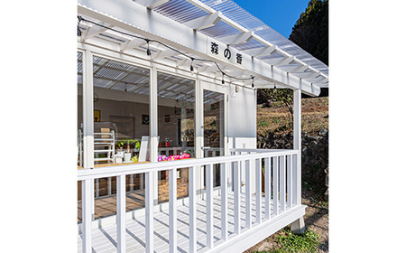 国産 赤城のハーブ 自然派 スッキリ　レモン＆爽快ブレンド ハーブティセット  F4H-0282