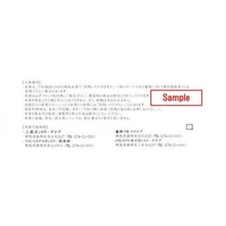 市内ゴルフプレー割引券 5枚_旅行券・チケット ゴルフプレー券 体験チケット _【1391683】