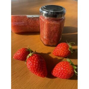 農園手づくりジャム　完熟やよいひめ (3本セット)【1666272】