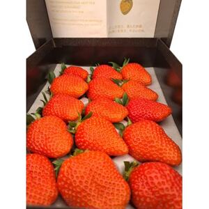 群馬県産 やよいひめ 厳選15粒 黒化粧箱入り プレミアムギフト【配送不可地域：離島・北海道・沖縄県・中国・四国・九州】【1716058】