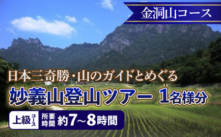《上級コース》日本三奇勝・山のガイドとめぐる妙義山登山ツアー【金洞山コース】 (1名様分) 日本三奇勝 妙義山 登山 山岳 ツアー 上級 ガイド付き 観光 F21E-209