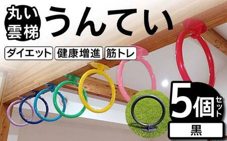 丸い 雲梯（うんてい） 5個セット ＜黒＞ 雲梯 ウンテイ 健康 健康増進 ダイエット 筋トレ F21E-281 10,220円