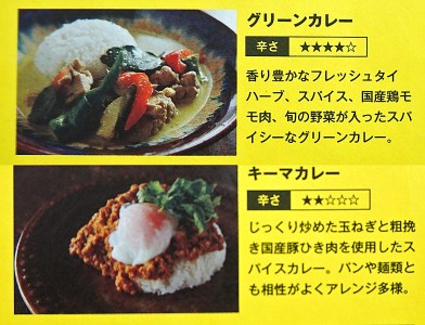 地場野菜のグリーンカレー 群馬県産豚挽肉のカレー4個セット 群馬県富岡市 ふるさと納税サイト ふるなび