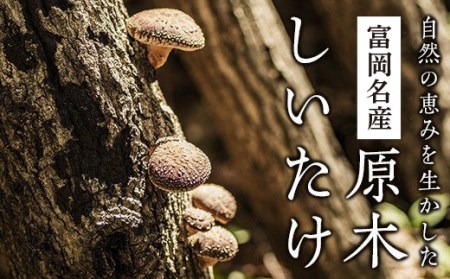 特大 原木しいたけ
