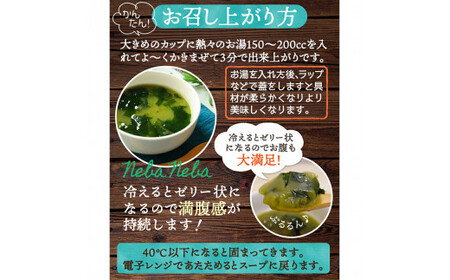 すごいねばねばモデルスープ24食 F20E-968