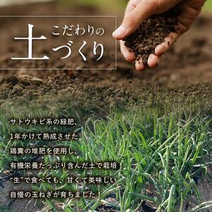 ＜2026年発送 先行予約＞甘すぎる新鮮極早生玉ねぎ 5kg 減農薬減 化学肥料 生食 たまねぎ 玉ねぎ タマネギ 野菜 食品 F21E-465