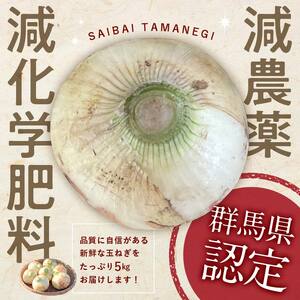 ＜2026年発送 先行予約＞甘すぎる新鮮極早生玉ねぎ 5kg 減農薬減 化学肥料 生食 たまねぎ 玉ねぎ タマネギ 野菜 食品 F21E-465