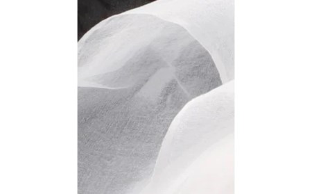 シルクオーガンジーストール　“モノトーン”：白 F20E-346