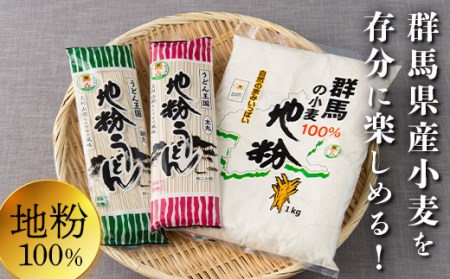 ぐんま生まれぐんま育ち（地粉・うどんセット） F20E-466