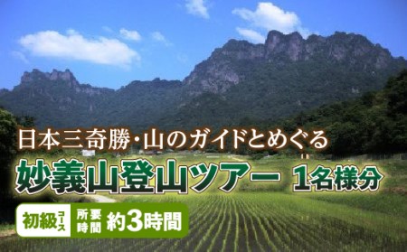 日本三奇勝・山のガイドとめぐる妙義山登山ツアー1名様分【初級コース】日本三奇勝 妙義山 登山 山岳 ツアー ガイド付き 観光 F20E-719