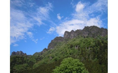 日本三奇勝・山のガイドとめぐる妙義山登山ツアー1名様分【初級コース】日本三奇勝 妙義山 登山 山岳 ツアー ガイド付き 観光 F20E-719