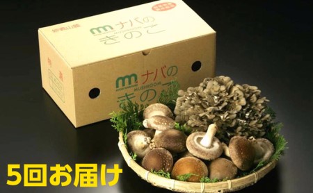特選椎茸舞茸詰合せ 5ヶ月連続お届け