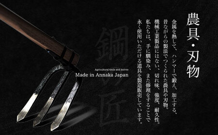 六本レーキ ANL011