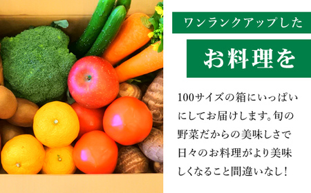 四季折々の新鮮野菜詰め合わせ 旬をお届け! 【8種類以上】 ANAR007