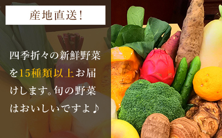 四季折々の新鮮野菜詰め合わせ 旬をお届け! 【15種類以上】 ANAR008