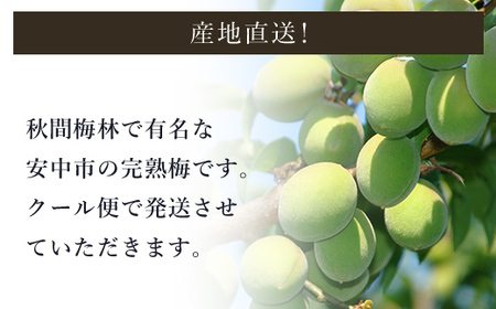 【2026年発送分先行予約】旬をお届け!完熟梅【Lサイズ5kg】 ANAR013