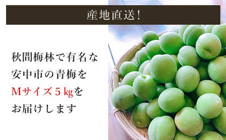 【2026年発送分先行予約】旬をお届け！青梅【Mサイズ５㎏】 ANAR017