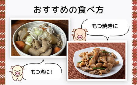 自家製味噌だれ味ホルモン1k(250gX4) ANT005